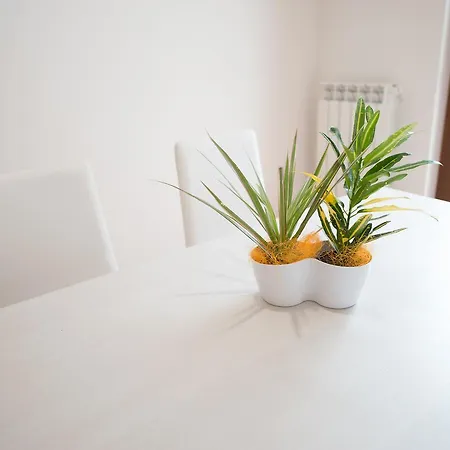 Orso Bianco 3* Pietracamela