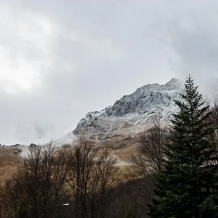 Orso Bianco * Pietracamela