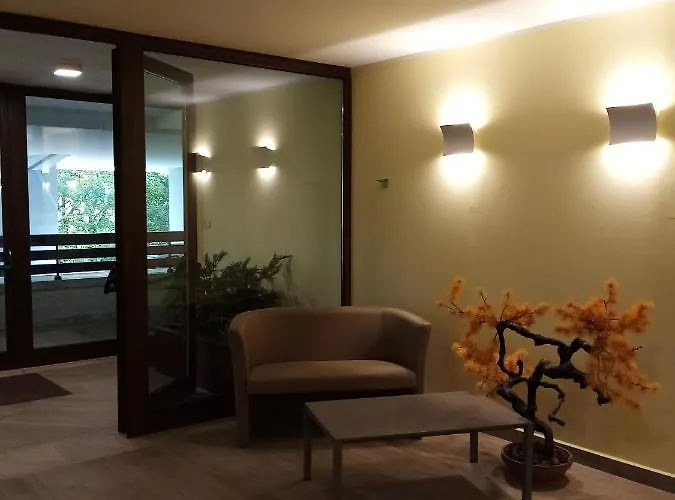 Orso Bianco Pietracamela