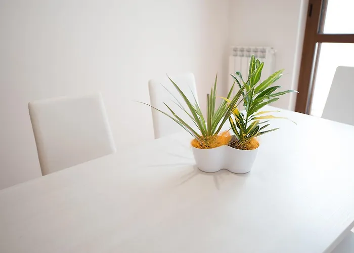 Orso Bianco 3* Pietracamela